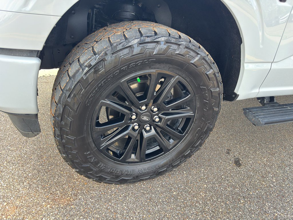 Used 2024 Ford F150 Platinum w/ FX4 Off-Road Package image 13