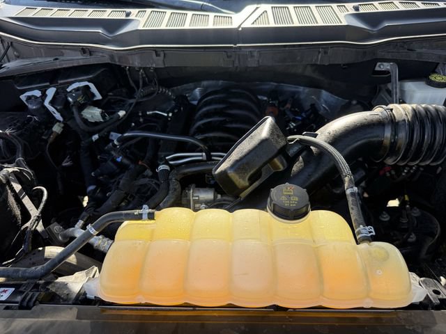 Used 2024 Ford F150 STX RWD image 30