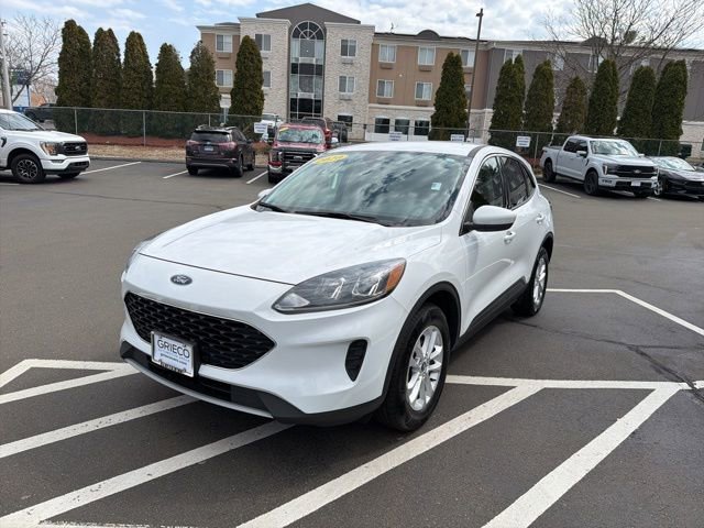 Used 2020 Ford Escape SE image 3