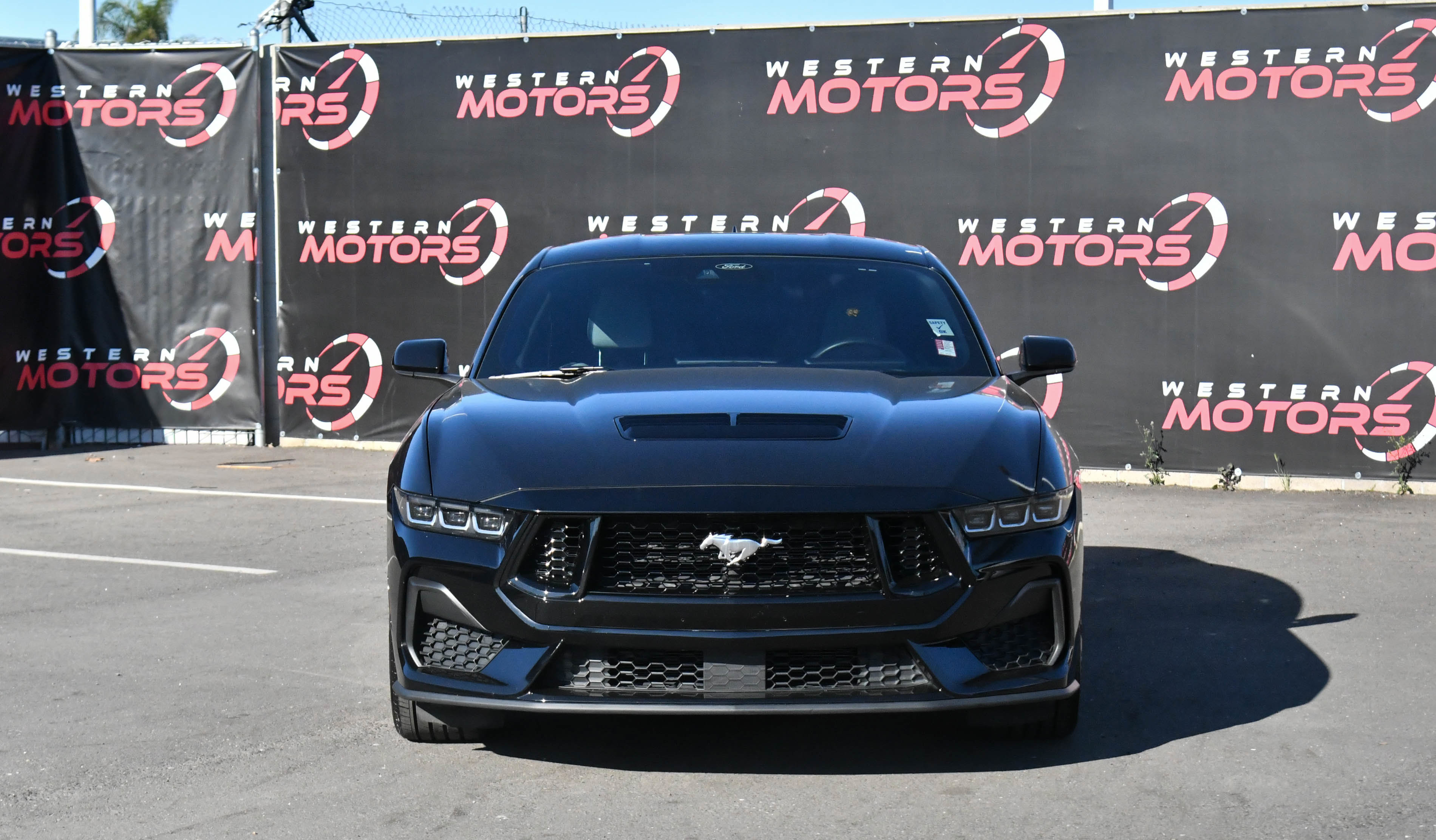 Used 2024 Ford Mustang GT image 2