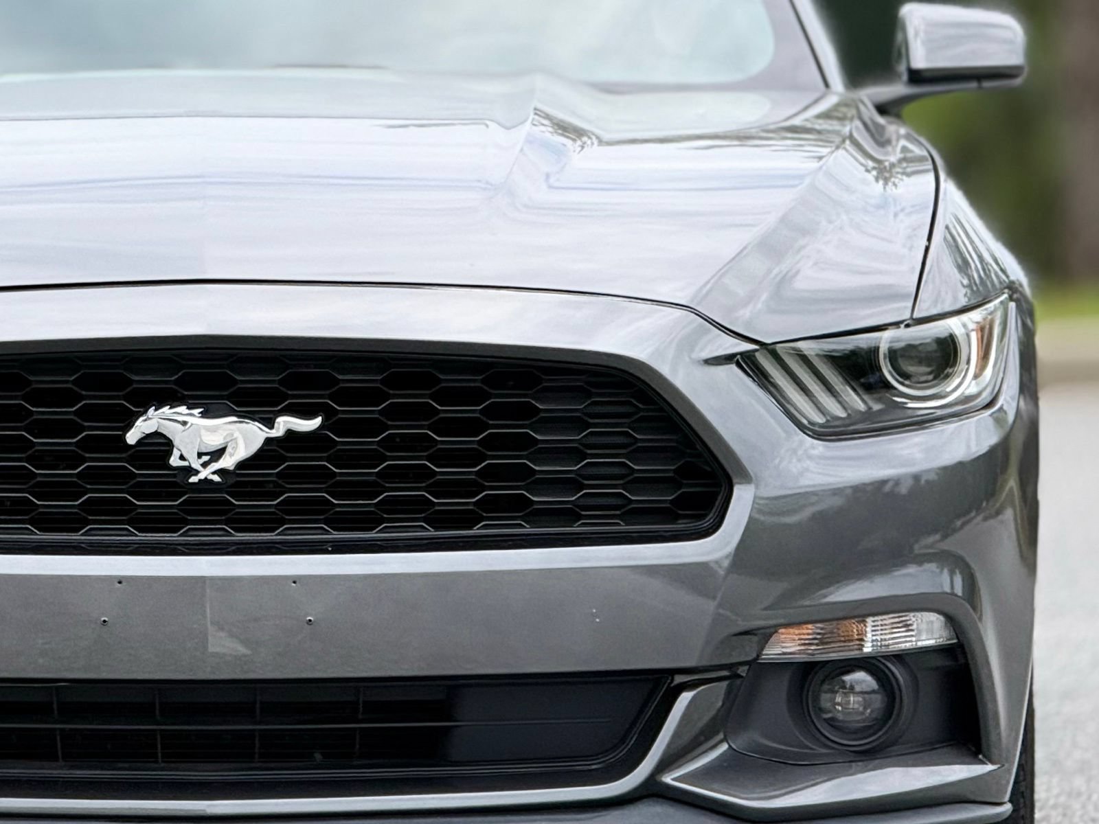 Used 2016 Ford Mustang Coupe w/ Equipment Group 051A RWD image 15
