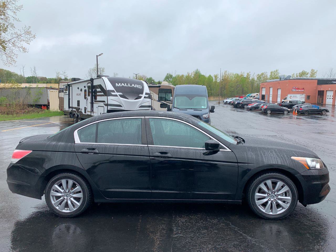 Used 2011 Honda Accord EX-L image 3