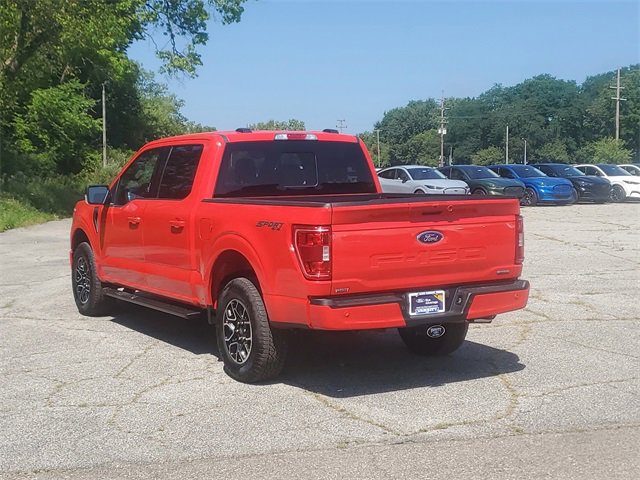 Certified 2023 Ford F150 XLT w/ Equipment Group 302A High image 3