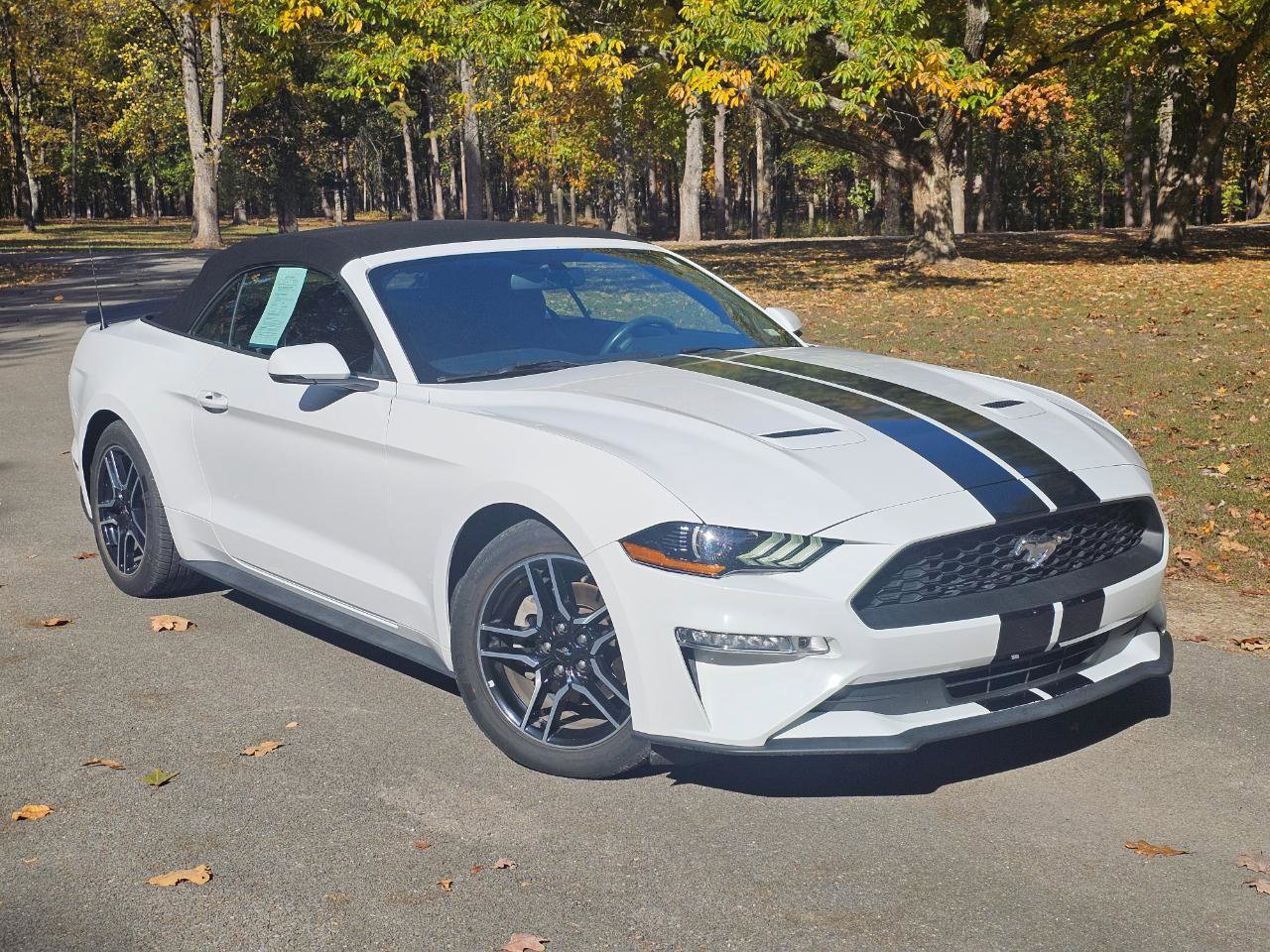 Used 2018 Ford Mustang Premium RWD image 2