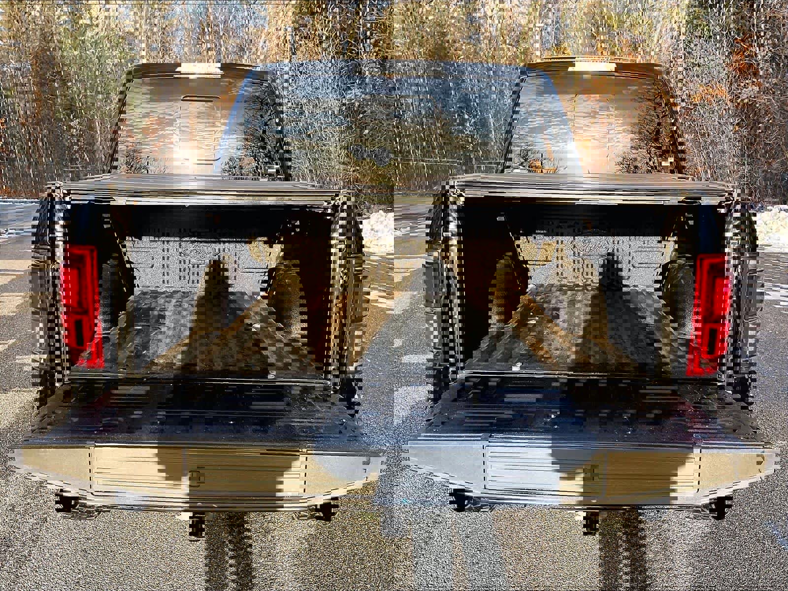 Used 2018 Ford F150 Raptor w/ Equipment Group 802A Luxury image 31