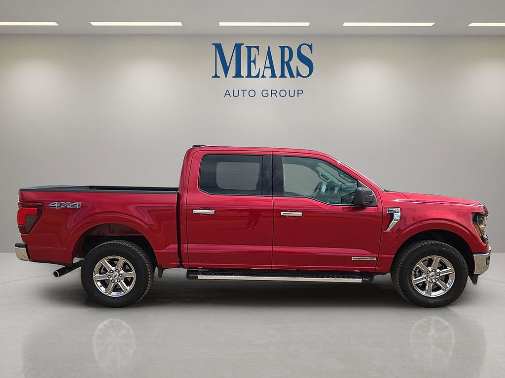 Used 2025 Ford F150 XLT w/ Equipment Group 301A Standard AWD/4WD image 6