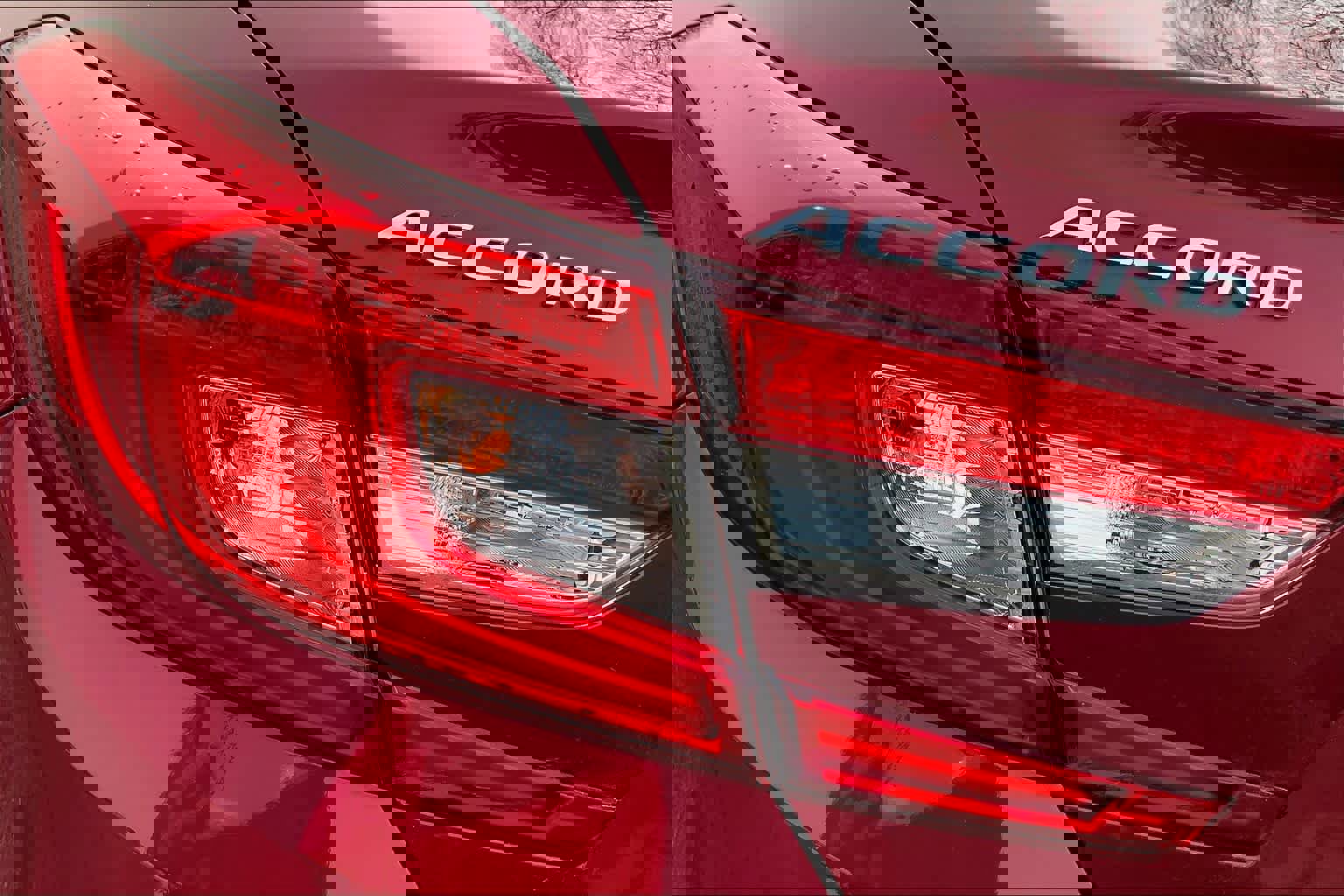 Used 2019 Honda Accord LX image 28