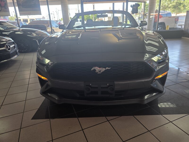 Used 2019 Ford Mustang Convertible RWD image 4