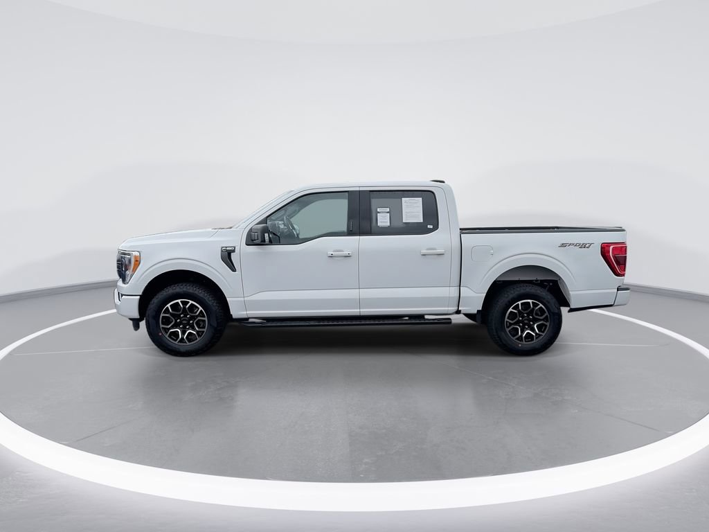 Used 2023 Ford F150 XLT w/ Equipment Group 302A High image 5