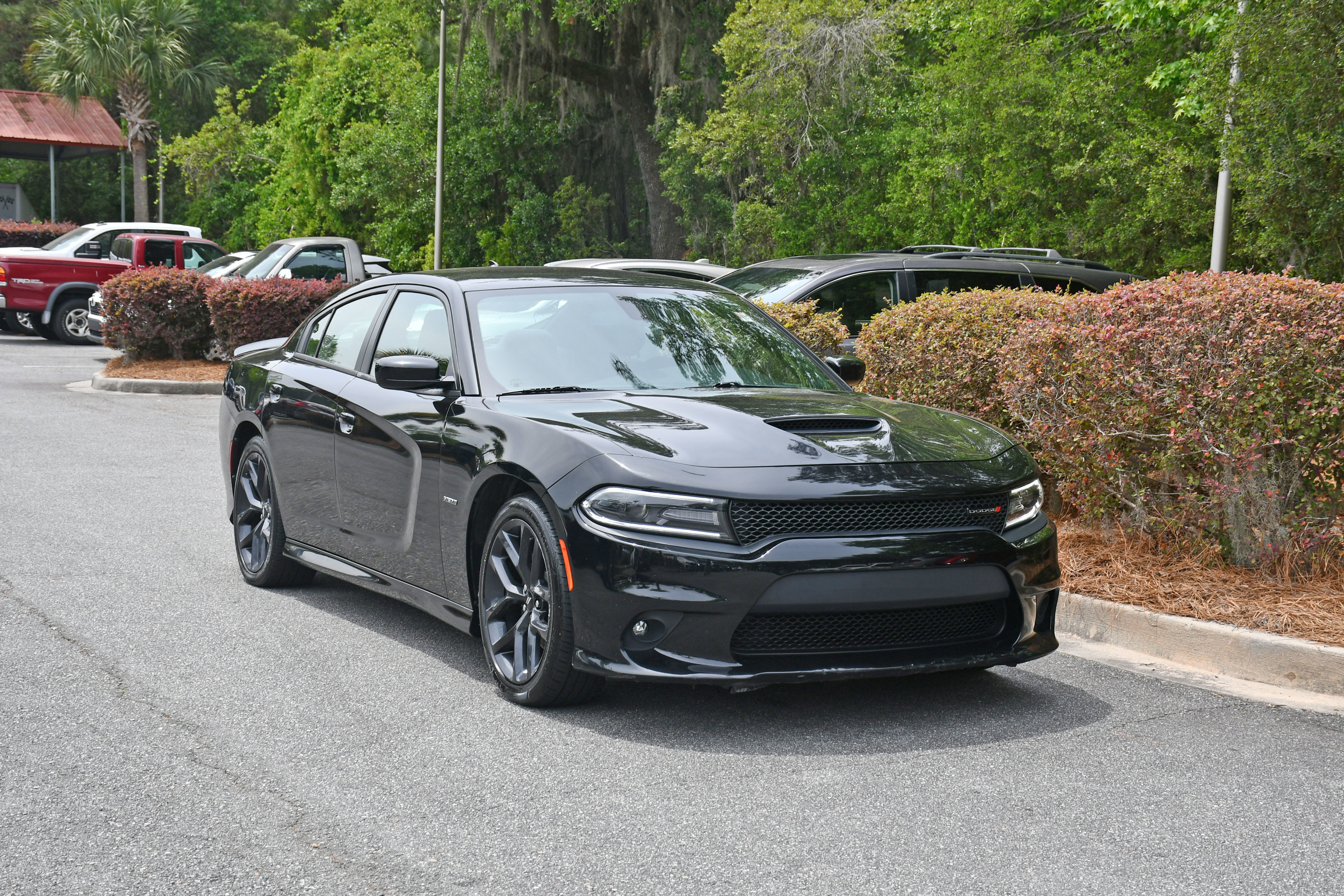 Used 2019 Dodge Charger R/T w/ Blacktop Package image 6