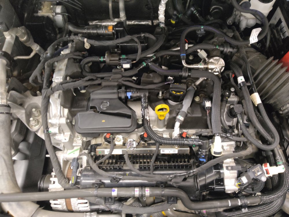 Used 2021 Ford Escape SE FWD image 30