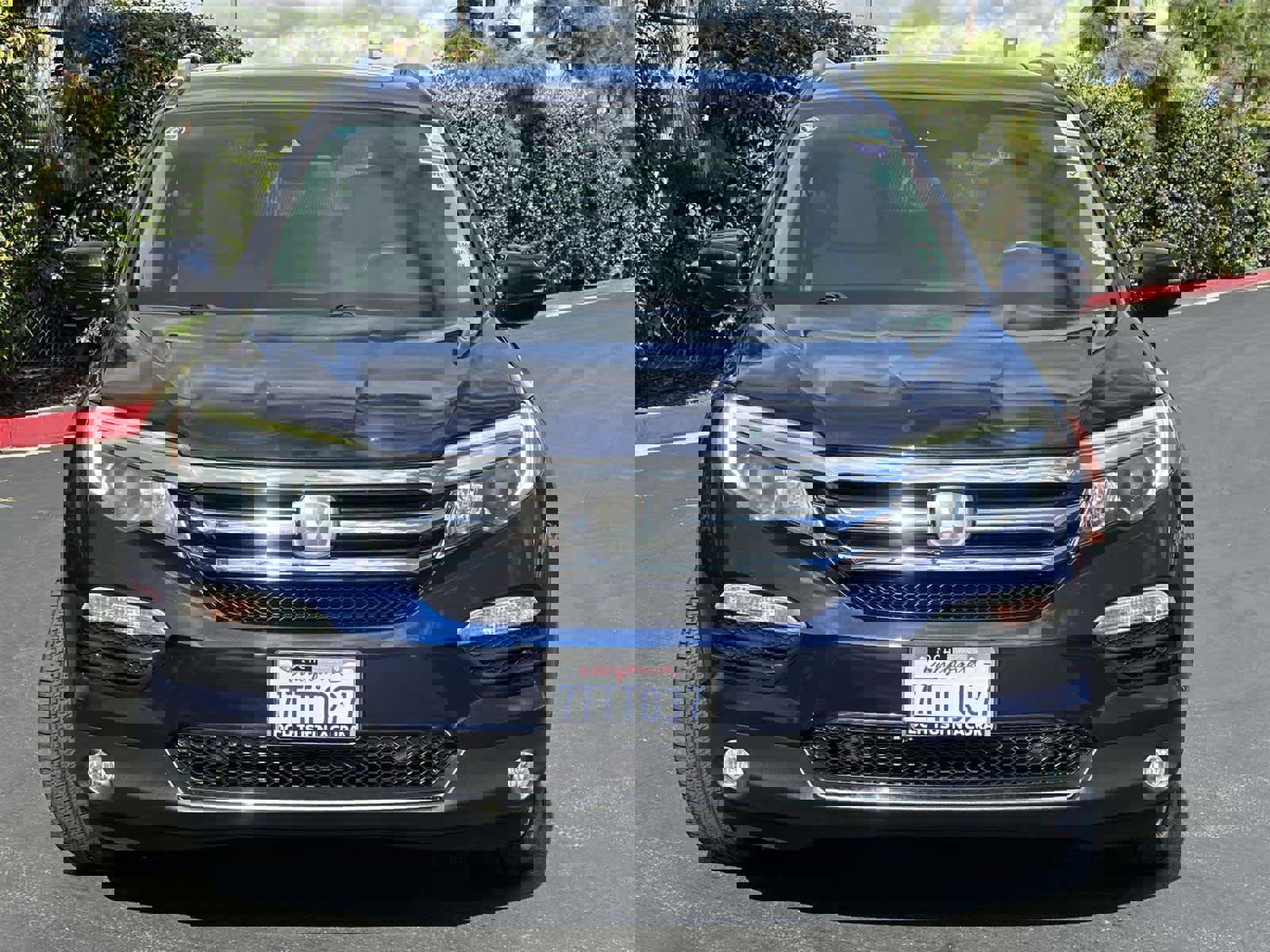 Used 2016 Honda Pilot Touring image 6