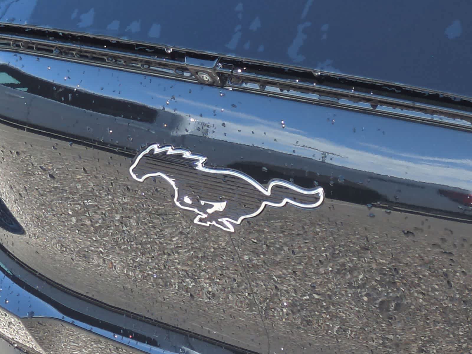 New 2026 Ford Mustang Mach-E Premium AWD/4WD image 12
