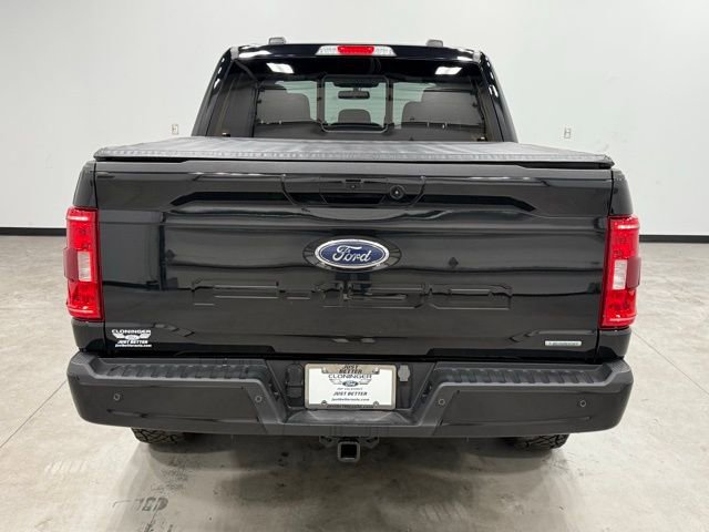 Used 2023 Ford F150 XLT w/ Equipment Group 302A High image 10