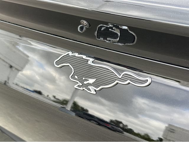 New 2026 Ford Mustang Mach-E Premium w/ Technology Package RWD image 33