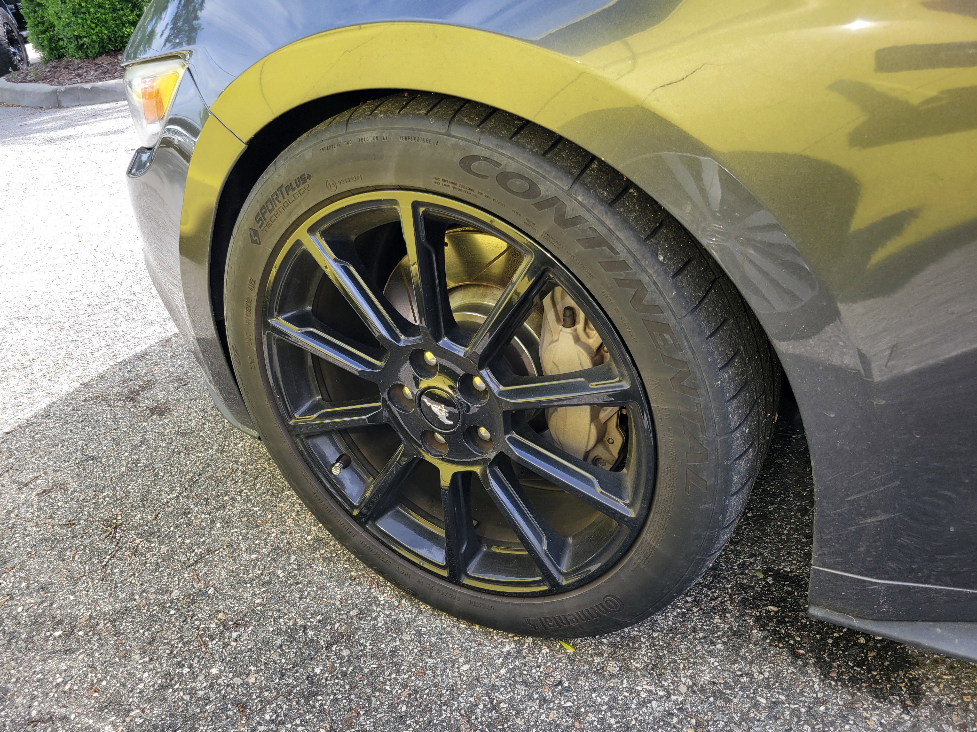 Used 2016 Ford Mustang GT Premium w/ Equipment Group 401A image 27