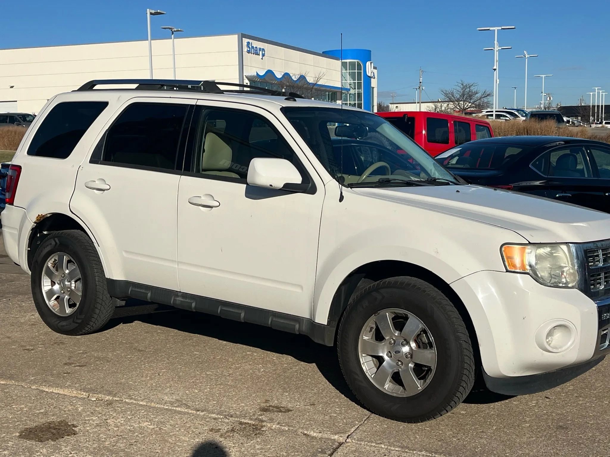 Used 2011 Ford Escape Limited image 4
