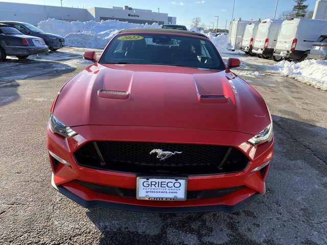 Used 2022 Ford Mustang GT Premium w/ Equipment Group 401A image 8