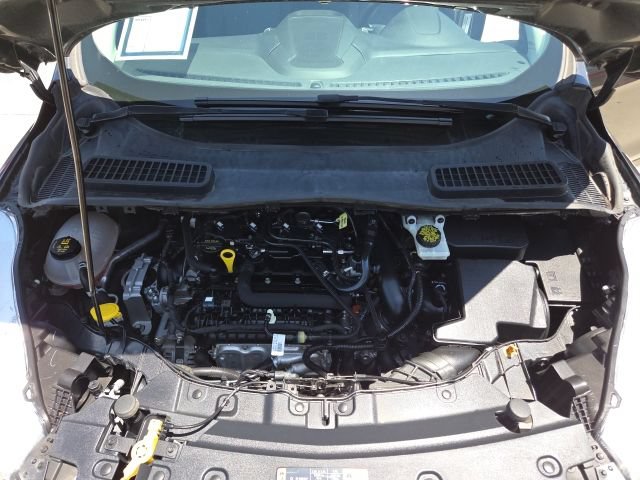Used 2019 Ford Escape SE FWD image 9