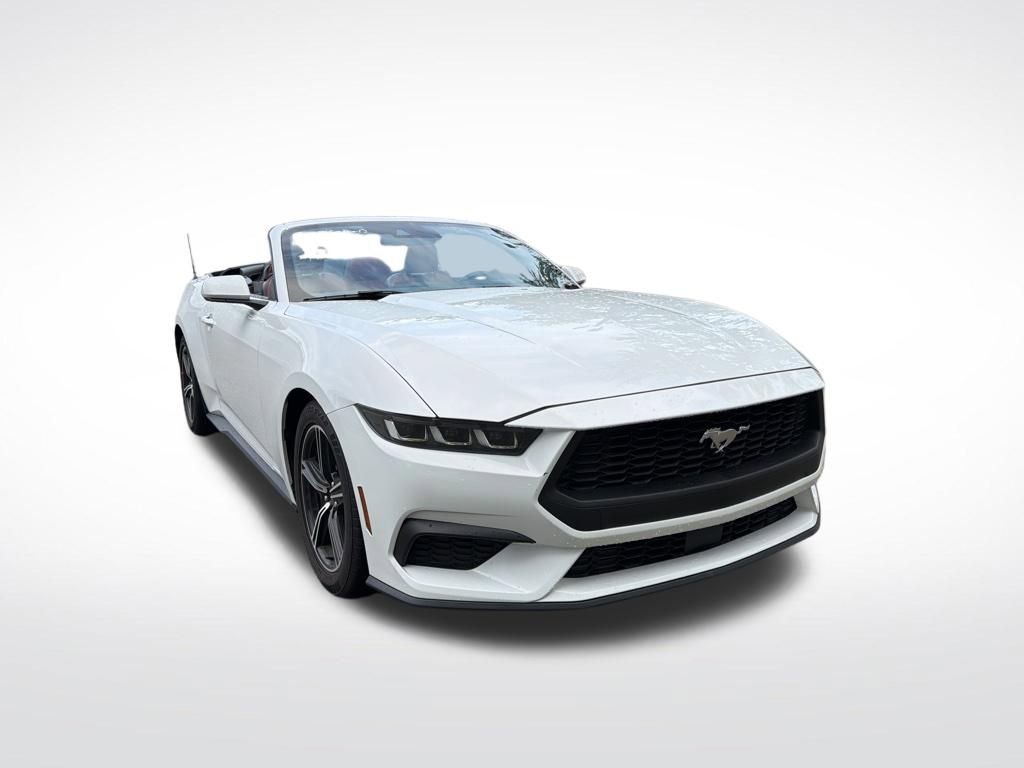 Used 2024 Ford Mustang Premium RWD image 2