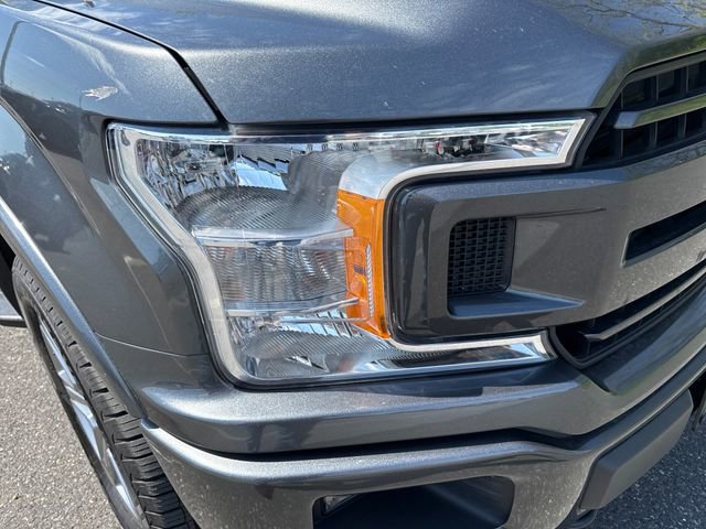 Used 2019 Ford F150 XLT w/ Equipment Group 302A Luxury AWD/4WD image 12