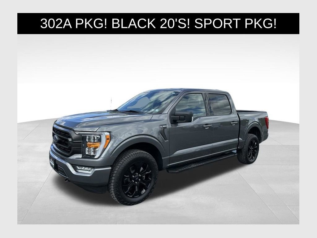 Used 2023 Ford F150 XLT w/ Equipment Group 302A High