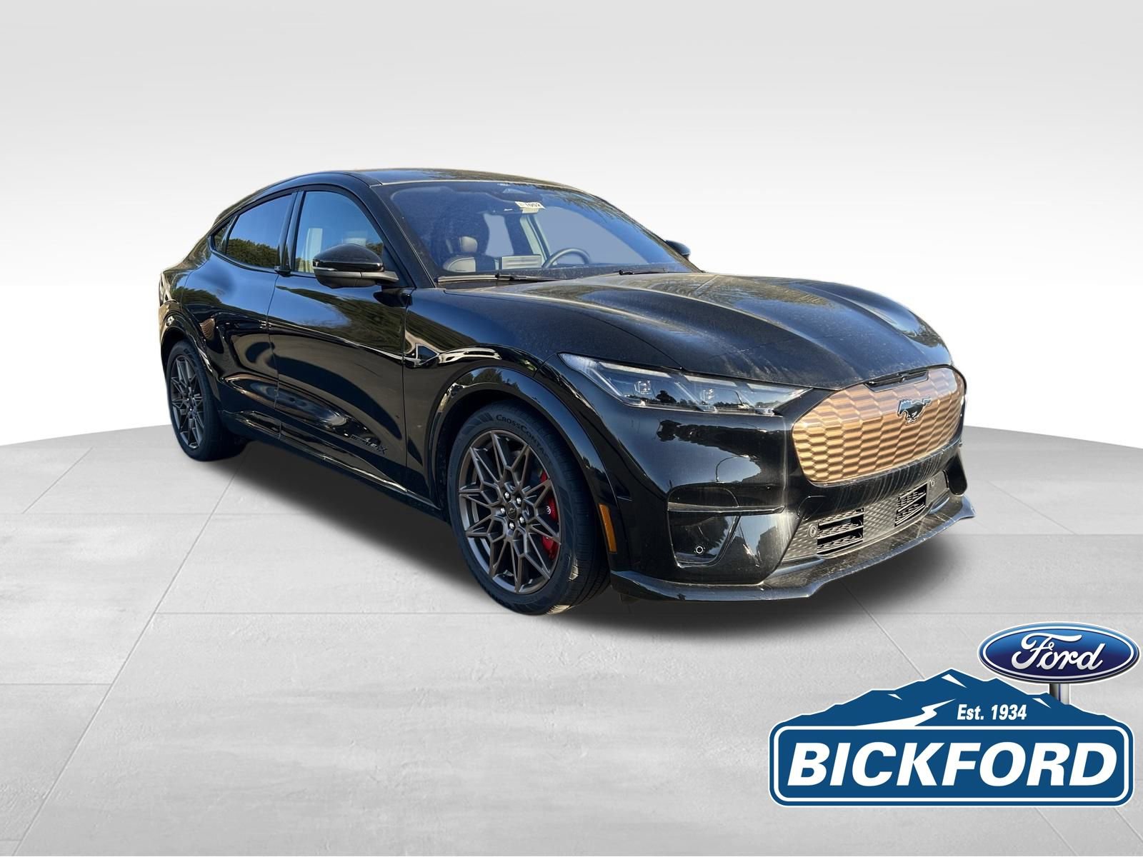 New 2025 Ford Mustang Mach-E GT w/ Bronze Appearance Package AWD/4WD image 4