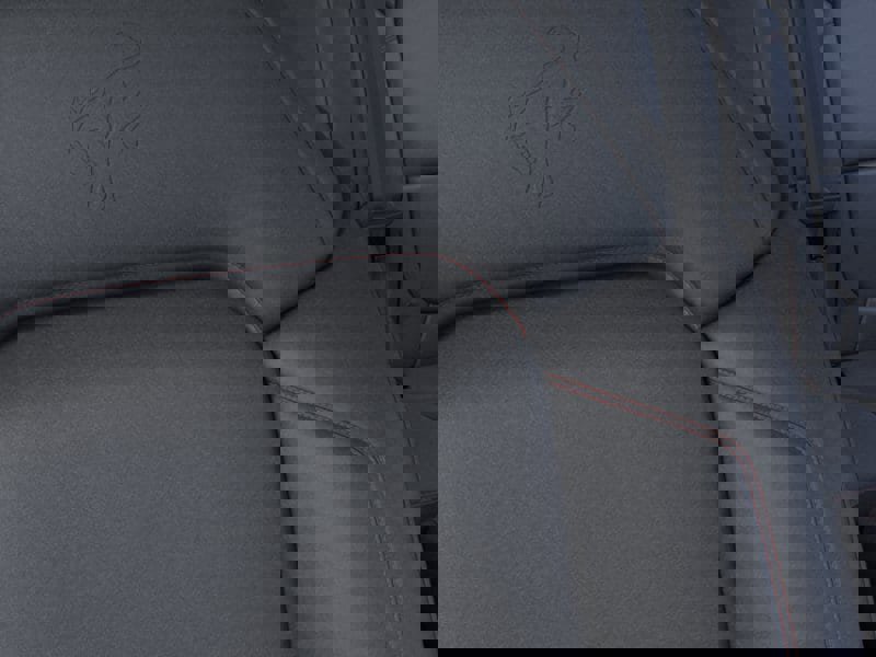 New 2026 Ford Bronco Stroppe Edition image 18