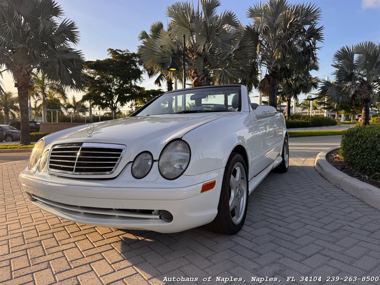 Used 2001 Mercedes-Benz CLK 430 Cabriolet image 6