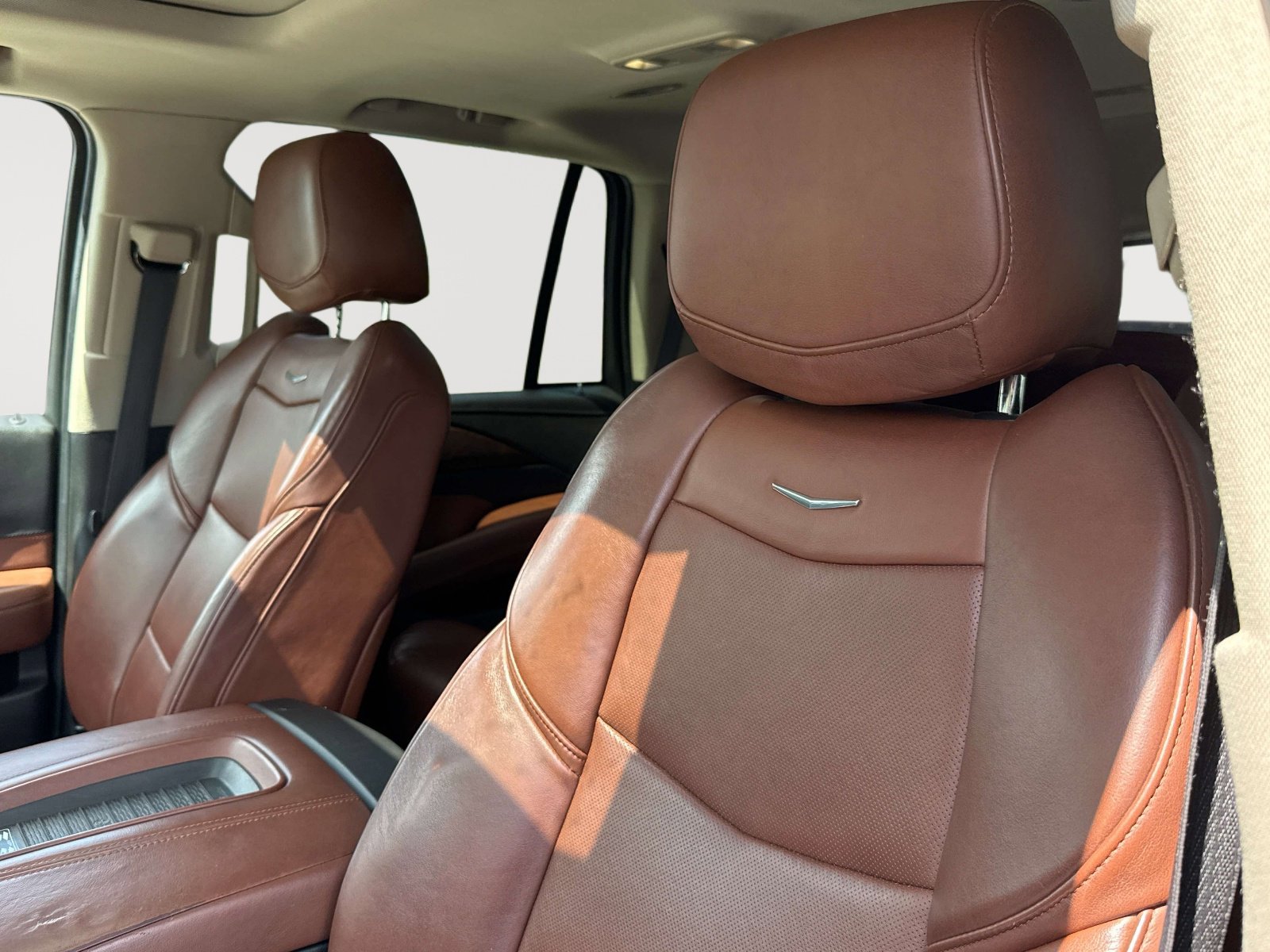 Used 2019 Cadillac Escalade Luxury image 21