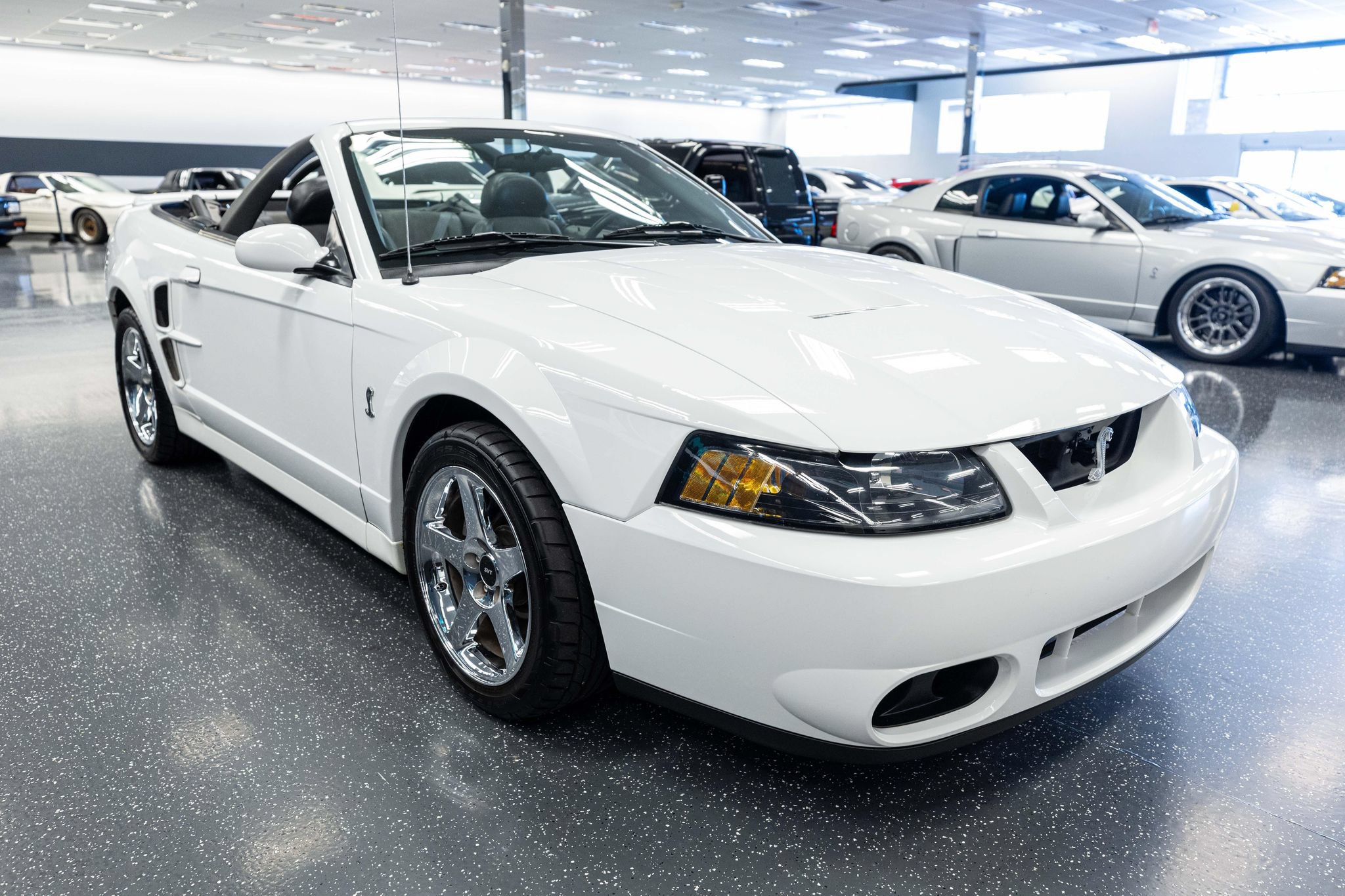 Used 2004 Ford Mustang Cobra RWD image 3