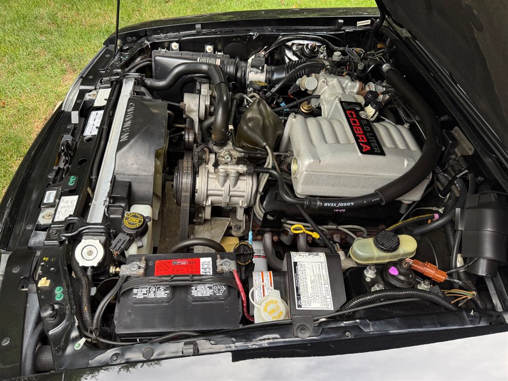 Used 1993 Ford Mustang Cobra RWD image 70