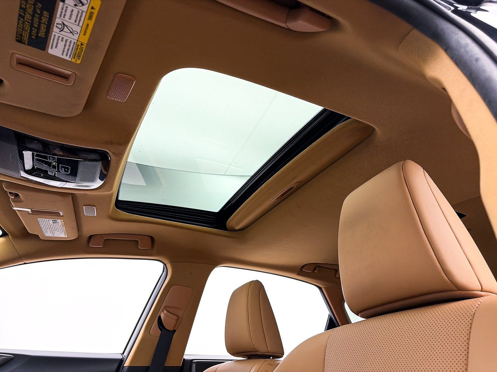 Used 2024 Lexus NX 350 AWD w/ Cold Area Package image 5