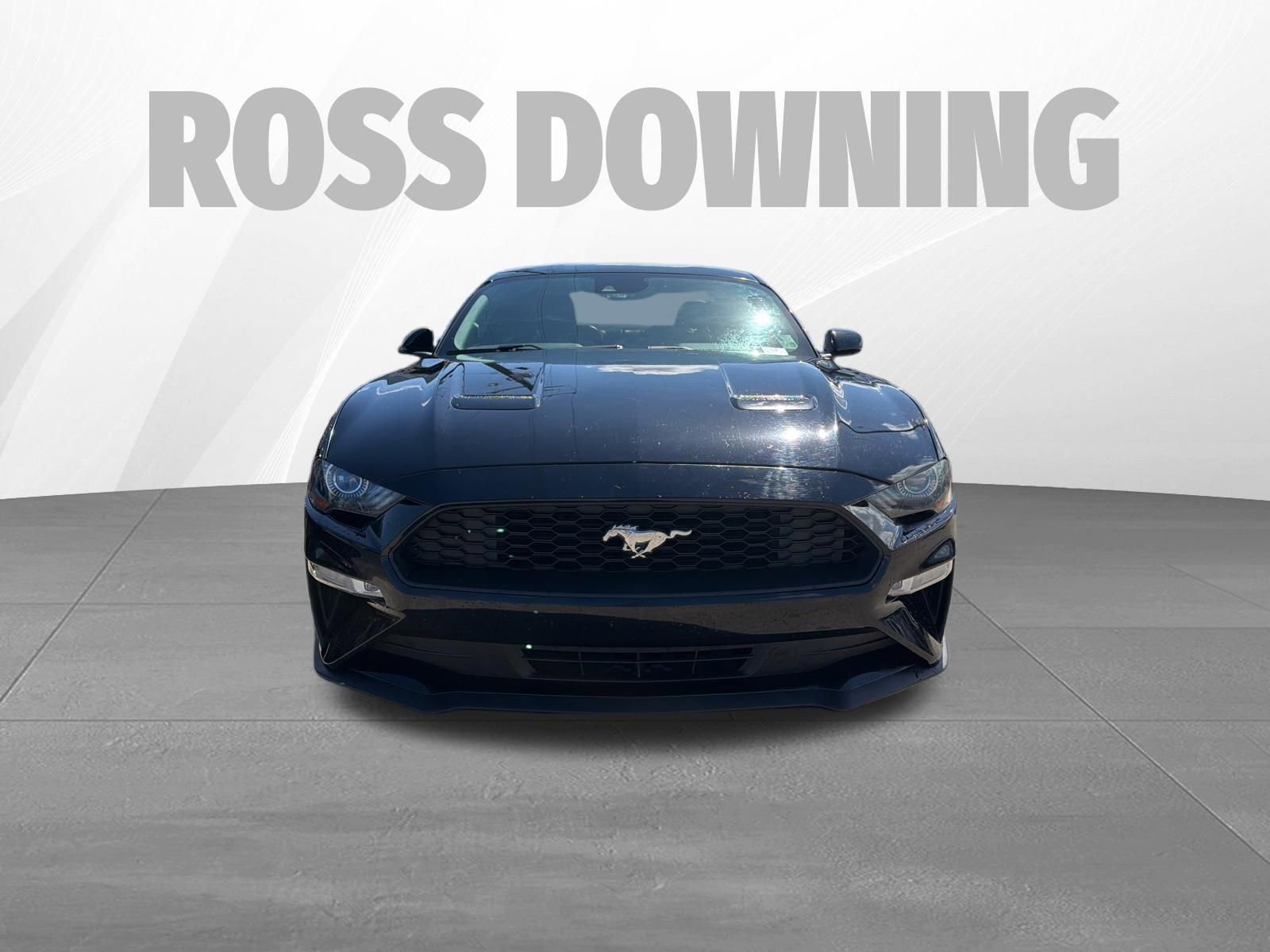 Used 2019 Ford Mustang Premium w/ Equipment Group 201A image 2