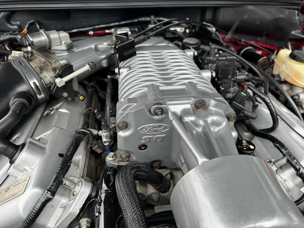 Used 2004 Ford Mustang Cobra RWD image 31