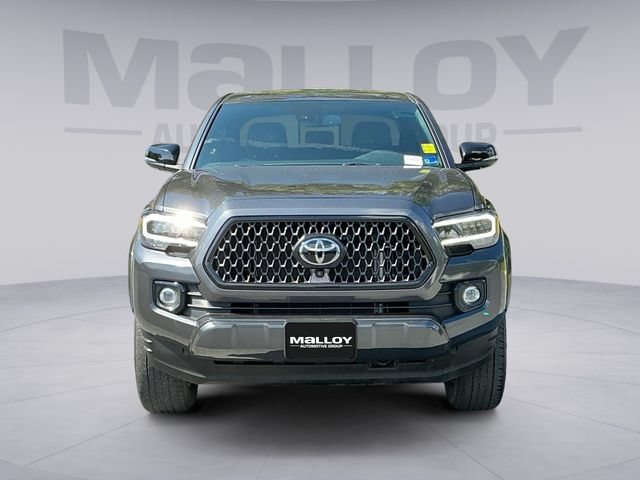 Used 2023 Toyota Tacoma Limited w/ Nightshade Package AWD/4WD image 8