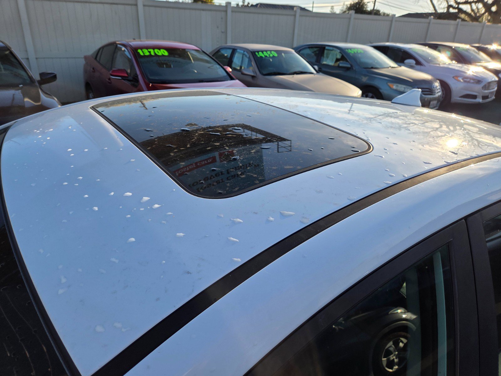 Used 2019 Hyundai Ioniq Limited image 7