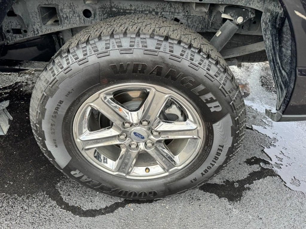 Used 2025 Ford F150 XLT w/ Equipment Group 301A Standard AWD/4WD image 7