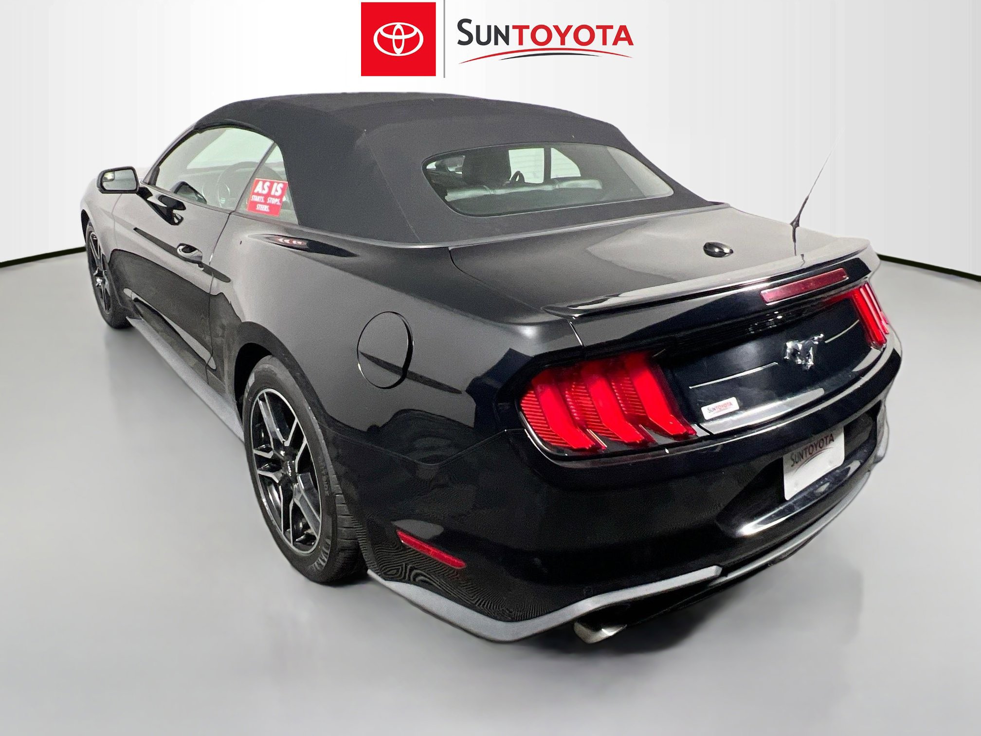 Used 2019 Ford Mustang Premium image 6