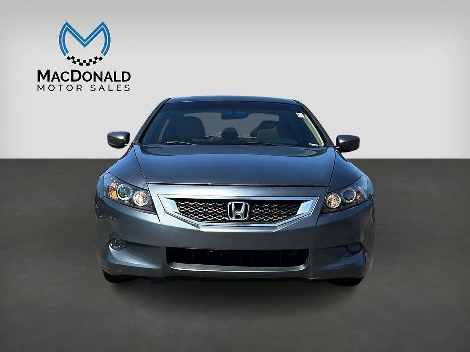 Used 2010 Honda Accord EX-L image 3