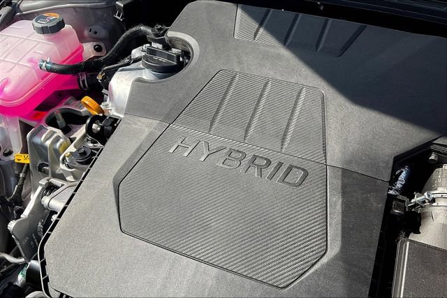 New 2025 Hyundai Elantra Limited image 17