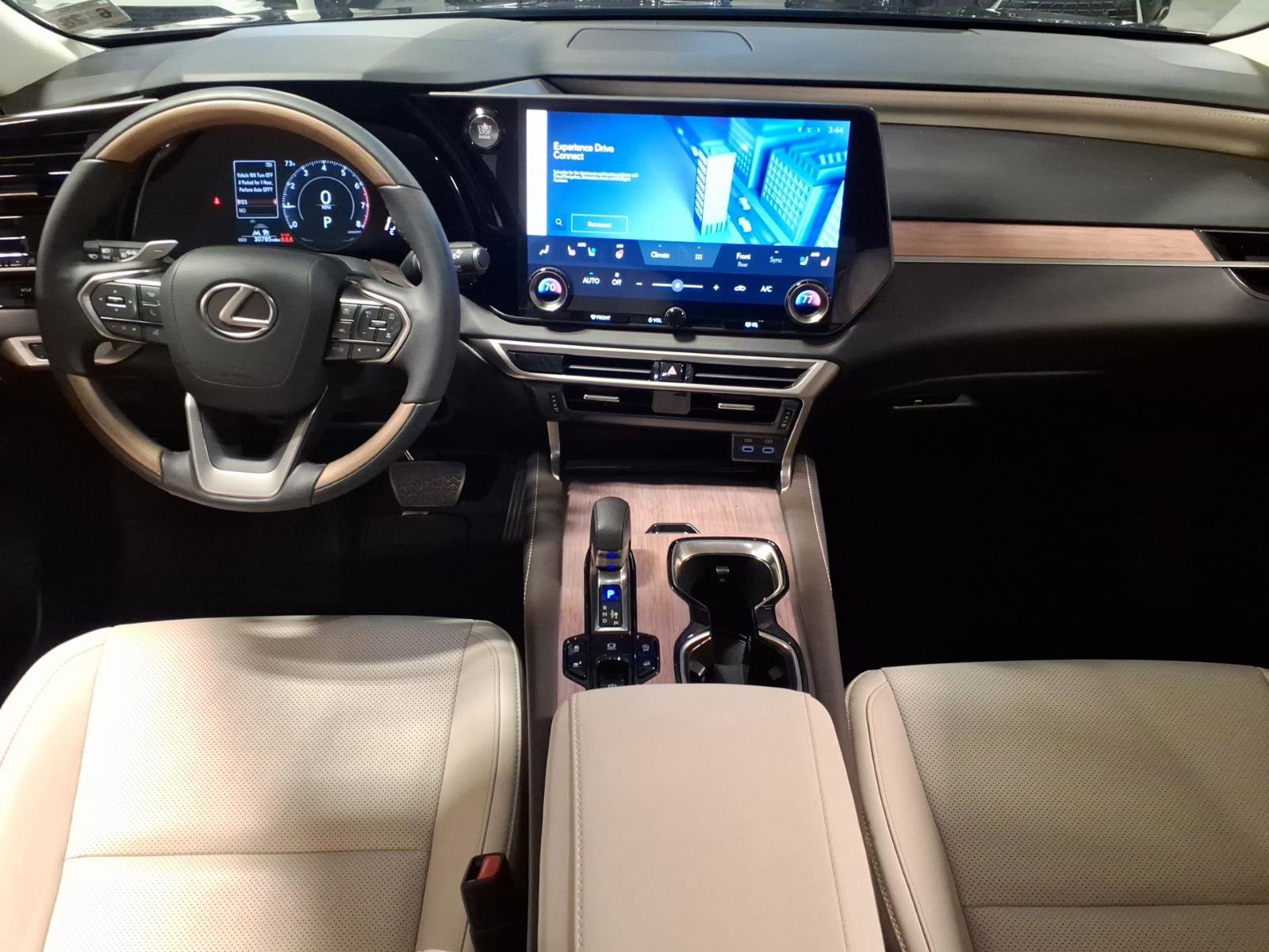 Used 2023 Lexus RX 350 Premium w/ Cold Area Package image 5