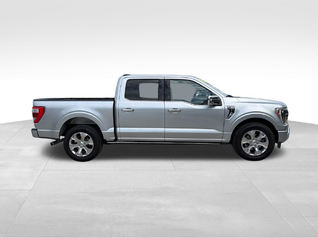 Used 2023 Ford F150 Platinum RWD image 8