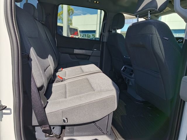 Used 2025 Ford F150 XLT w/ Equipment Group 302A MID image 13
