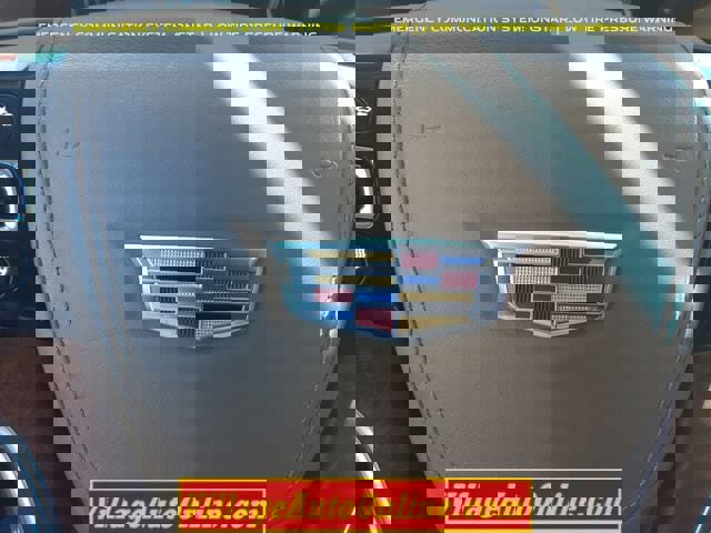 Used 2016 Cadillac Escalade Platinum AWD/4WD image 19