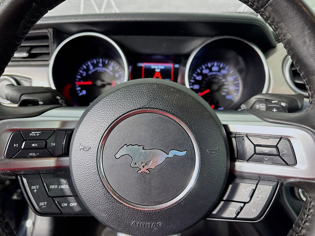 Used 2019 Ford Mustang Premium image 16