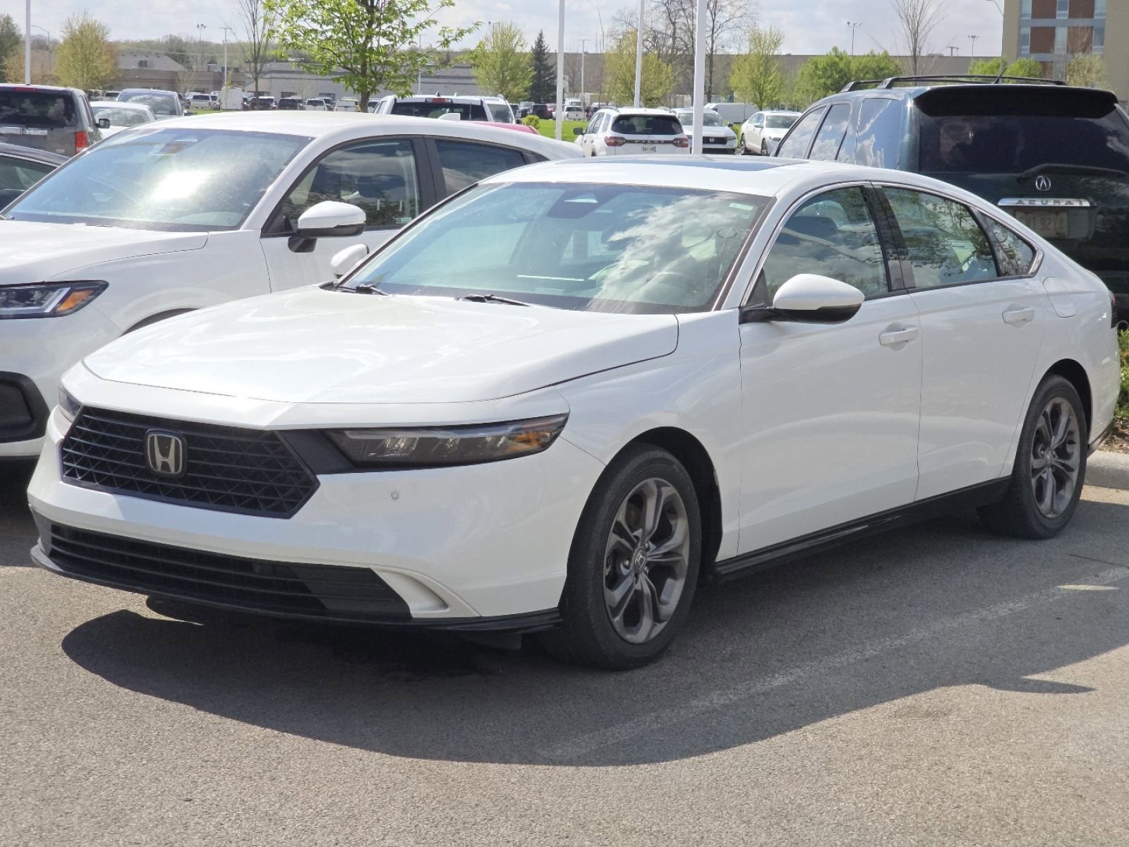 Used 2023 Honda Accord EX-L image 4