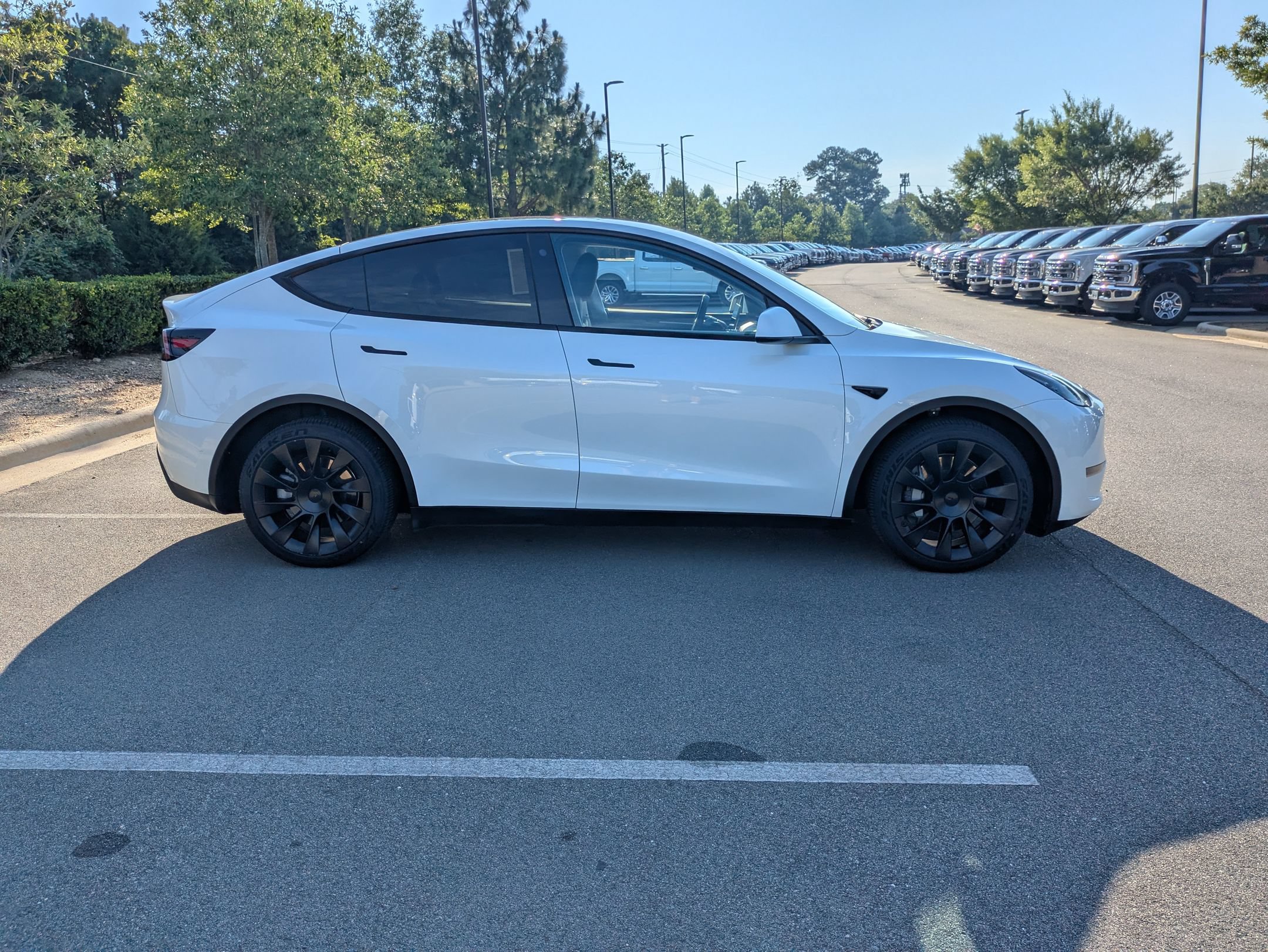 Used 2023 Tesla Model Y Long Range AWD/4WD image 3