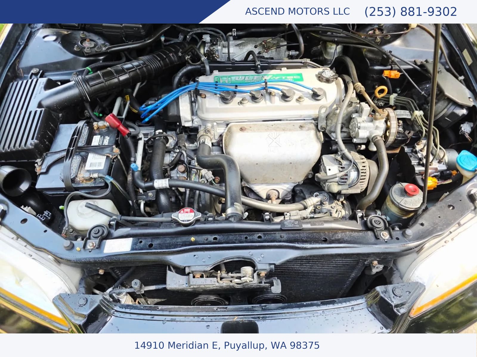 Used 1998 Honda Accord EX image 16