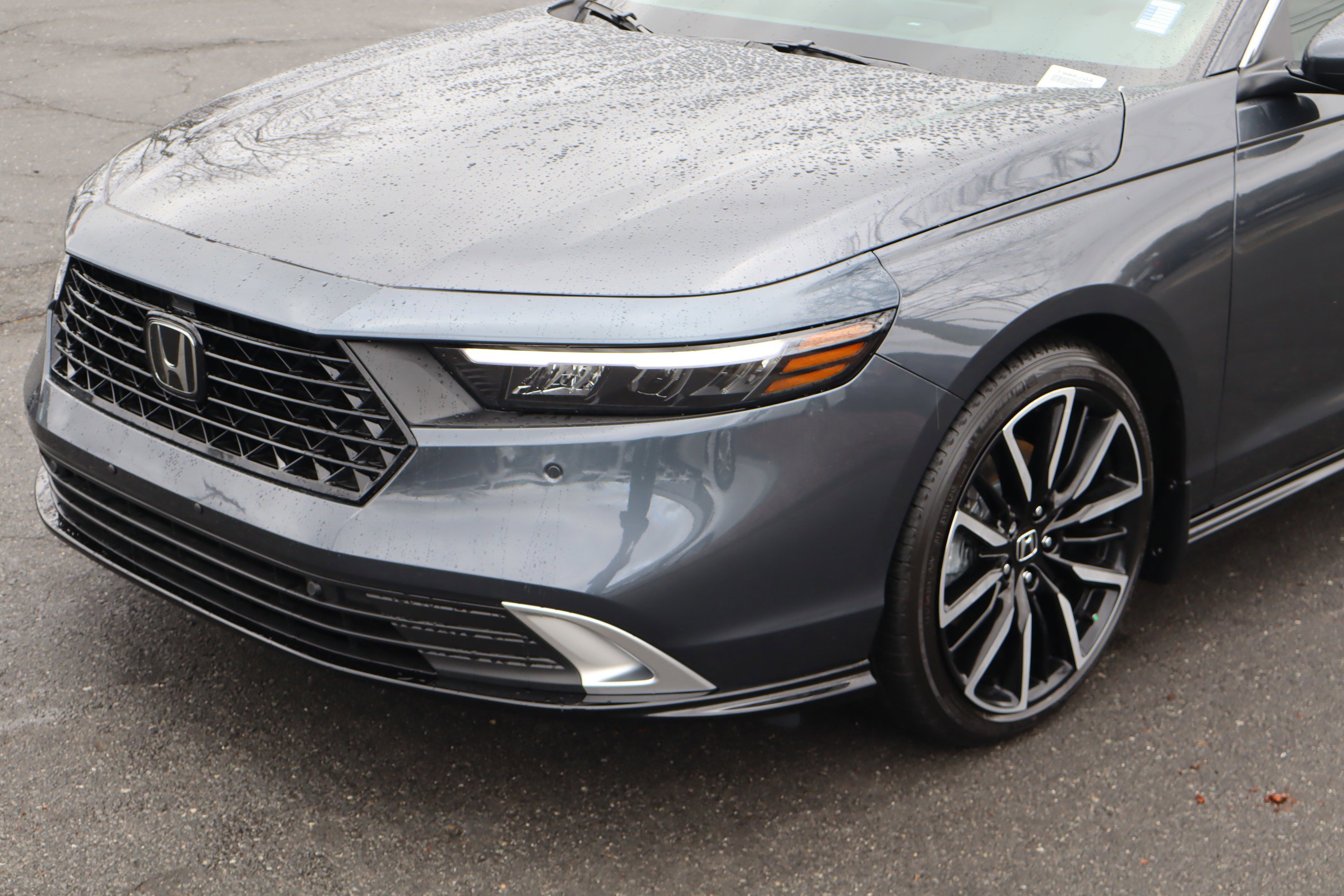 Used 2025 Honda Accord Touring image 6